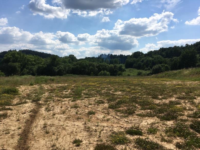 K2/2 RX plocha rekreace se specifickým využitím Plocha je vymezena pro výstavbu bikeparku v místě plochy NS (plochy smíšené nezastavitelné) v platném ÚP obce Rapotín.