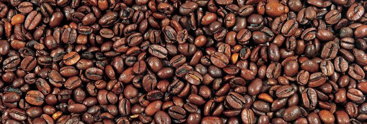 Macchiato oříškové, vanilkové 59 Bon Bon kondenzované mléko, silné espresso 55 Espresso Corretto prodloužené espresso s grappou (2 cl) nebo sambucou (2 cl) 64 Shakerato střední espresso,