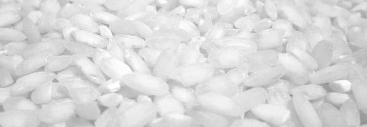 bylinkovým máslem a parmezánem Chřestové rizoto s lososem 350 g 195 bílým vínem, česnekem, bylinkovým máslem a parmezánem HLAVNÍ CHODY Argentinský rumpsteak 200 g 369 s pepřovou omáčkou, restovanými