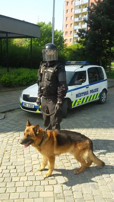 7 Každý strážník Městské policie Přerov má přidělen příslušný region (město včetně místních částí je rozděleno na jednotlivé regiony).