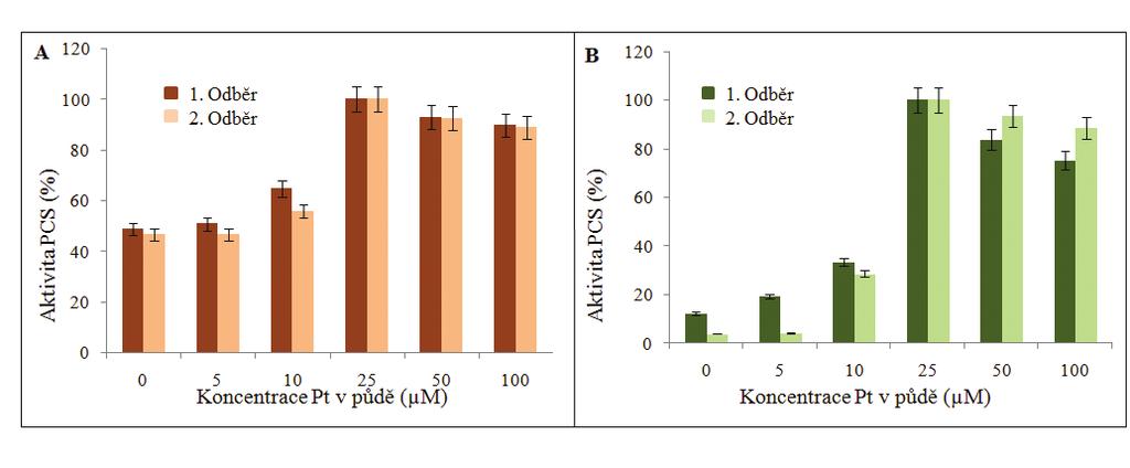 Obrázek 10. Změna aktivity fytochelatinsyntázy ve vzorcích kukuřice pěstované v půdě s různými koncentracemi platiny (A) kořeny (B) nadzemní části. IV.