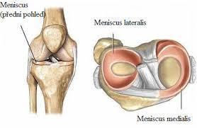 tvarem ani velikostí neodpovídají a dotýkají se při pohybu vždy jen na malé ploše. Tuto neshodu styčných ploch obou kostí vyrovnávají chrupavčité menisky. 2.
