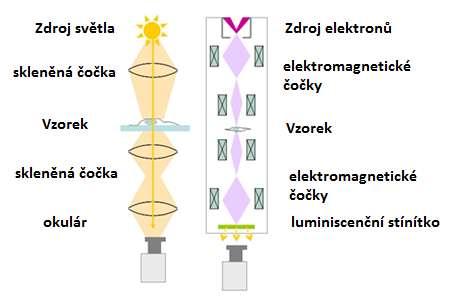 filmu. Tyto a samozřejmě i další součásti elektronového mikroskopu jsou uloţeny ve vzduchotěsné válcové nádobě, z níţ je vyčerpán vzduch, aby se proud elektronů nezeslaboval.