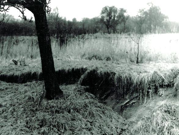 6.8.1 Provedené práce Průzkum, který započal v červnu 1982, měl za úkol objasnit příčiny svahových pohybů a navržení sanačních opatření. V první fázi byly prozkoumány převzaté a rešeršní dokumenty.