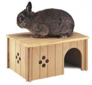 Všechna plemena zakrslých králíků jsou vzrůstem menší a hmotností nižší než ostatní domácí králíci.