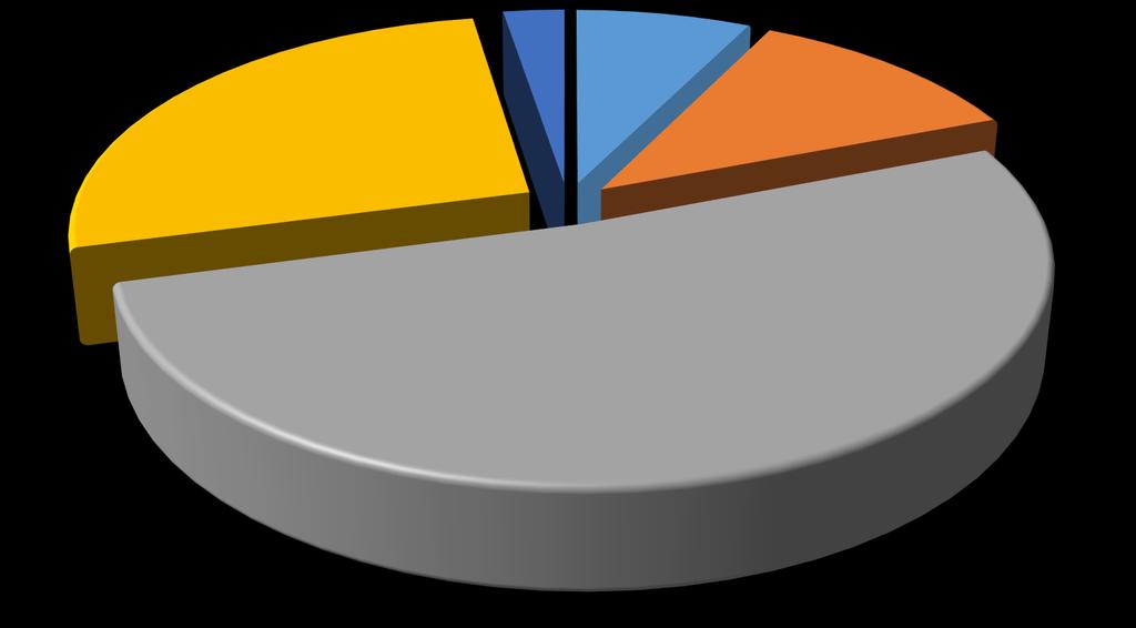 VĚKOVÁ STRUKTURA VINIC V ČESKÉ REPUBLICE K 31. 12.