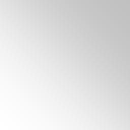 Emise VOC u skříňky CZ1 zjištěné na GC/MS 45,00 40,00 35,00 Emise [µg/m 3 ] 30,00 25,00 20,00 15,00 10,00 5,00 0,00 Ethyl acetate Benzen Pentanal Toluen Hexanal n-butyl acetate Ethylbenzen m,p-xylen