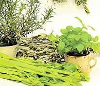 cibuli, 80 g másla, 2lžíce olivového oleje, 350 g kulatozrnné rýže, 300 ml suššího červeného vína, 500 ml kuřecího nebo zeleninového vývaru, 4až5hrstí mladých listů kopřivy a hluchavky, sůl, pepř, 50