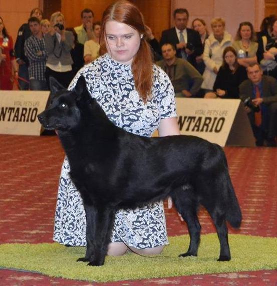 SOUTĚŽ ŠAMPION ŠAMPIONŮ
