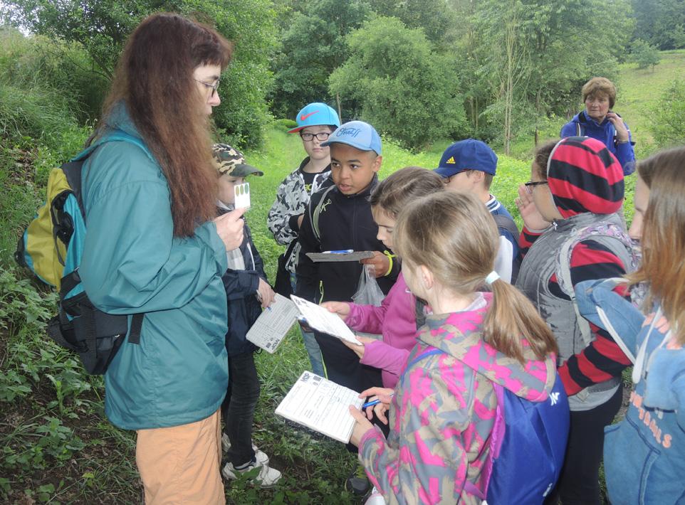 .. Pro zajištění aktuální kvality vody jsme během roku díky získaným gran tům nechali udělat 16 chemicko bakteriologic ukázka rozboru vody z Urešovi studánky (320) v Kunraticích kých rozborů v