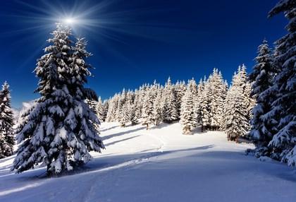 se! Lampiónový průvod První leč Adventní štika Vánoční odpoledne Úřední hodiny obecního úřadu Středa 16.00 18.00 Otevírací hodiny v knihovně Čtvrtek 17.00 18.00 Pojízdná prodejna středa od 9.