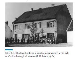 rostlin. Na příkladu vodních bezobratlých jsou ukázány reakce na zatopení území s přihlédnutím k jejich schopnosti přizpůsobit se novým podmínkám. Kapitola 4.