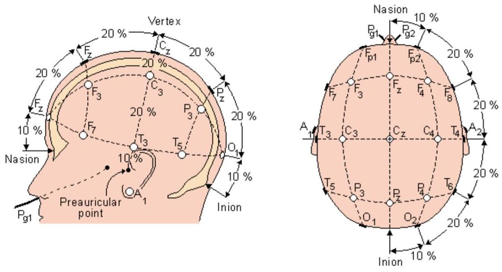Obrázek 8 Umístění elektrod-systém 10/20 [5] Jednotlivé oblasti se nazývají (viz. počáteční písmeno): F Frontální C Centrální T Temporální P Parietální O Okcipitální A1 a A2 jsou referenční elektrody.