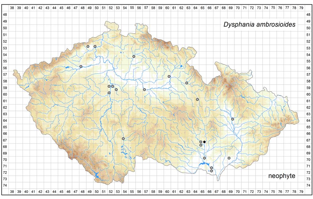 Distribution of Dysphania ambrosioides in the Czech Republic Author of the map: Zdeněk Kaplan, Pavel Dřevojan, Kateřina Šumberová Map produced on: 06-02-2017 Database records used for producing the
