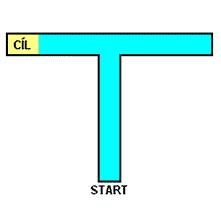 Y-bludiště se používá většinou pro neprostorové testy jako je diskriminační učení, kdy je jedno rameno startovní a dvě protilehlá jsou cílová.