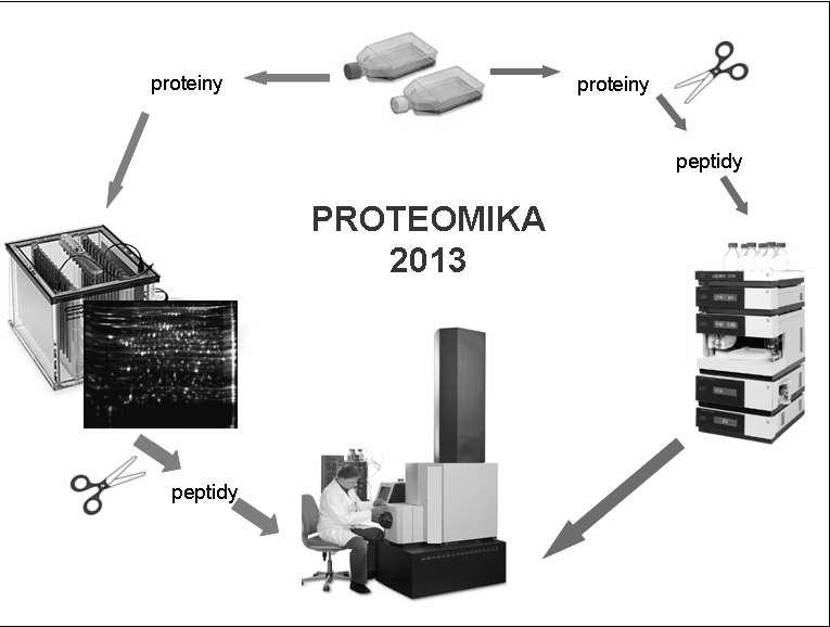 Protein arrays Cílené