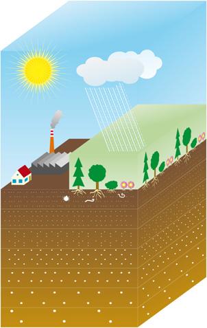 Divize environmentální informatiky a modelování Divize se zaměřuje na výzkum, výuku a realizací projektů v oblasti environmentálních informačních systémů a modelování, hodnocení ekologických a