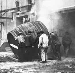 K výrobě piva potřebujeme tři základní suroviny: slad, chmel, vodu a mikroorganismy kvasinky.