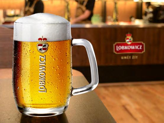 VÝROBA PIVA VAŘENÍ A KVAŠENÍ PIVA JAK JE TO S PRAVIDELNÝM PITÍM PIVA?