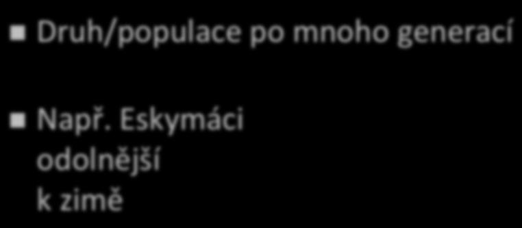 geerací Např.