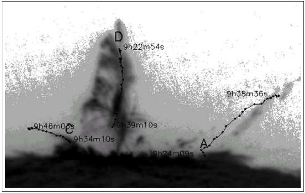 Figure 2 Image of prominence of 1 st June 2003. Trajectories of individual blobs projected onto prominence image.