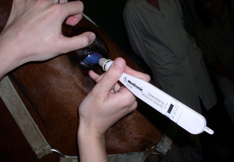 NOT 17-28 mmhg Samotné provedení je velmi jednoduché.
