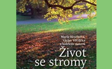 Místo stromů v našem životě je nezastupitelné. Často na jejich přítomnosti téměř zapomeneme, a přitom ovlivňují kvalitu našeho každodenního žití více, než by se mohlo zdát.