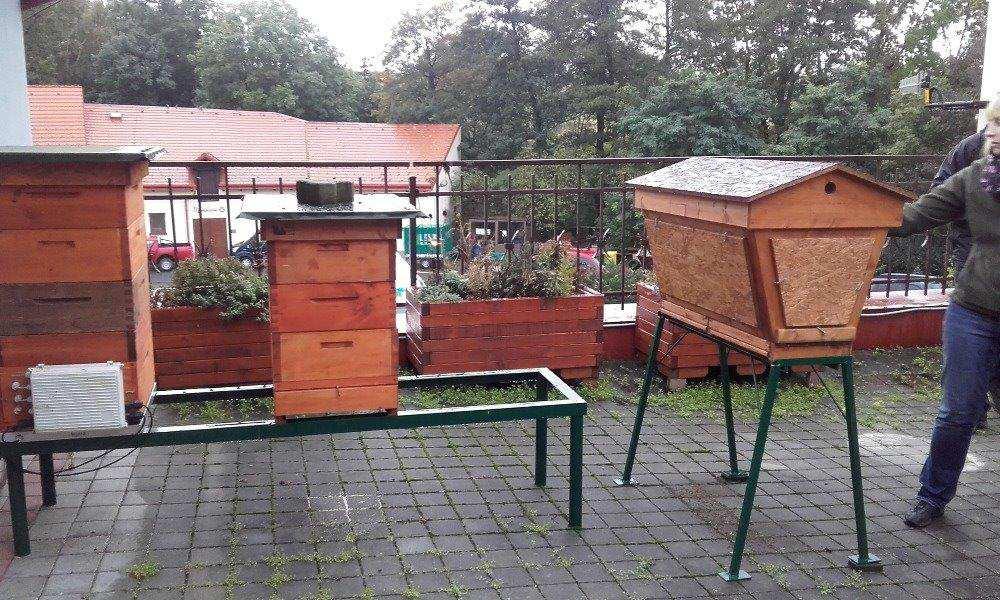 Vypadá to že jsme se přišli podívat na různé typy úlů.