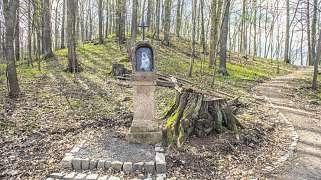 V Harrachově máme dva body, na něž se ptá každý -Mumlavský vodopád amamutí skokanský můstek, říká harrachovská starostka Eva Zbrojová.