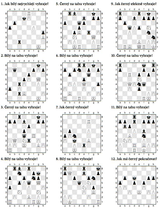 TAKTIKA Z MISTROVSTVÍ ČR MLÁDEŽE Šachový týdeník Na následujících diagramech, které se vyskytly na šachovnicích MČR mládeže a juniorů, si můžete