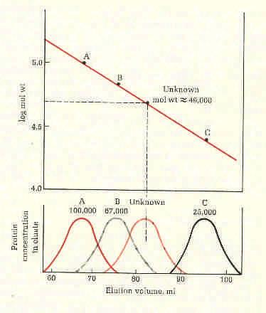 velká (rozdělení je rychlejší, ale může být nepřesné). Na rychlou chromatografii tedy použijeme gel s hrubšími zrny.
