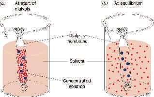 Praktické příklady Sledování průběhu separace Srážení síranem amonným (vysoká koncentrace soli ve vzorku) chromatografie s hydrofóbní interakcí Ionexová chromatografie (eluce vysokou iontovou silou)