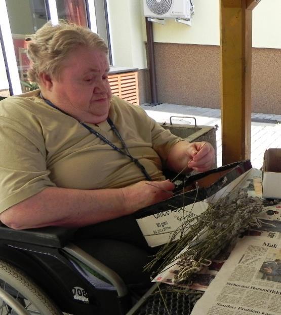 Čistění voňavé levandule Odpoledne jsme se pustili do