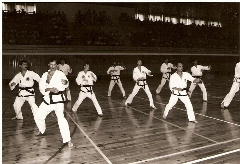Rok 1987