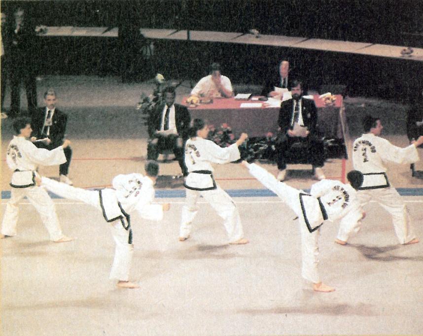 Rok 1993