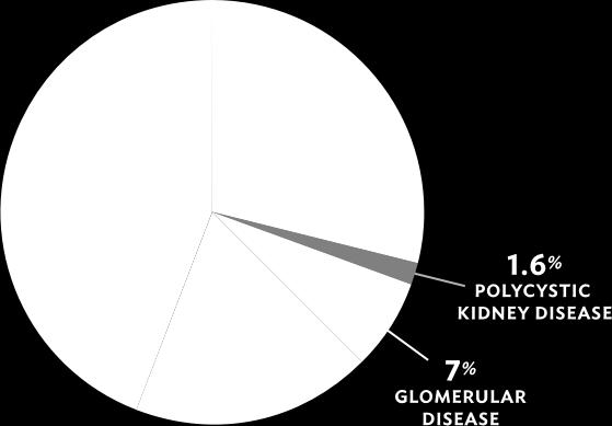 Příčiny chronického selhání ledvin Diabetické onemocnění ledvin Ischemická nefropatie