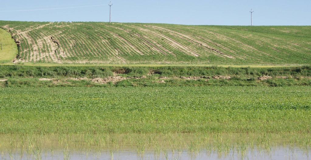 V katastru s vodní erozí. strana 9 Eroze. V Česke republice je vodní erozi potenciálně ohroženo více než 50 % zemědělské půdy.