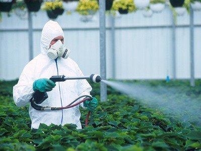 PESTICIDY A POTRAVINY Pesticidy jsou přípravky určené k tlumení a hubení rostlinných a živočišných škůdců.