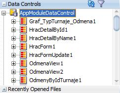Obrázek 18 - Data Controls zdroj: autor V aplikaci je s oblibou používán vyhledávací formulář, který při úspěšném vyhledání zobrazí příslušné informace v podobě tabulky, grafu apod.