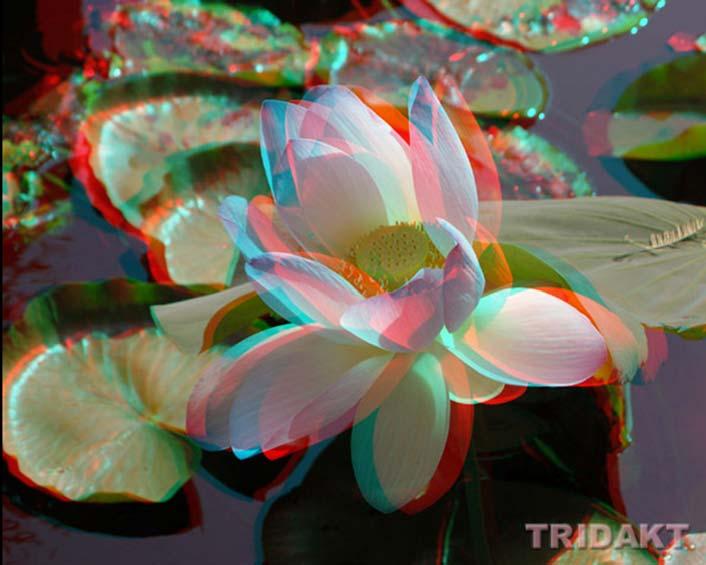Obr. Anaglyph[] Podíváme-li se na obrázek přes brýle, které mají každé sklo opatřeny barevným filtrem, uvidíme v každém oku pouze jeden ze snímků, protože druhý bude odfiltrován.