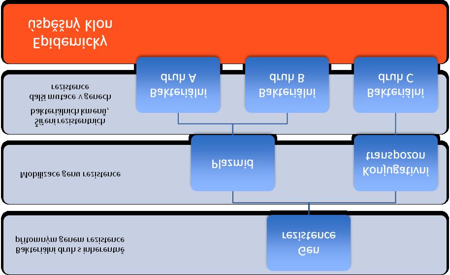 Schéma šíření
