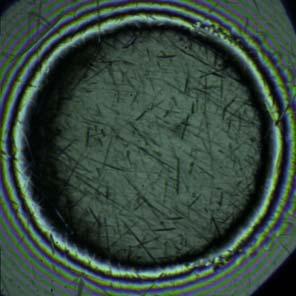 distance, μm Chromatický interferogram reálný povrch s modifikovanou topografií 300 38,8 ms Σ