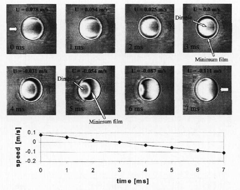 (2005): Pure rolling elastohydrodynamic lubrication of short stroke reciprocating motion., Tribology International 38, s. 1013-1021. GLOVNEA, R.