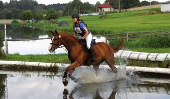 Soutěže vyžadují od jezdce zkušenost v různých oblastech jezdectví a maximální odhad schopností konkrétního koňského svěřence.