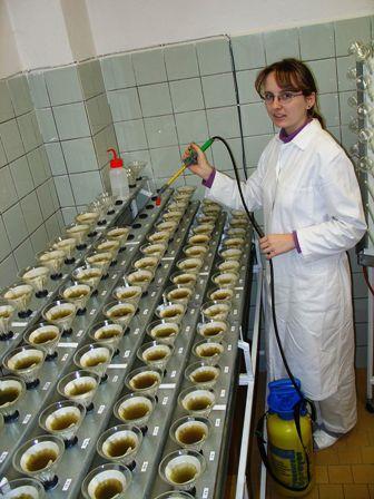VÝSLEDKY - ŠVÝCÁRNA Grafické vyjádření rozdílů mezi místy a termíny odběru ve stravitelnosti organické hmoty (SOH): (stanovováno in vitro metodou Tilley a Terry (1968) v modifikaci podle Resche
