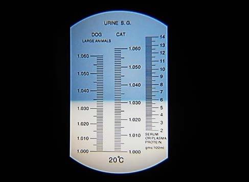 SERUM OR PLASMA PROTEIN v rozsahu 2 až 14 g ( gms )/100ml (cena 1200 až