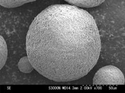 Obr. 5: Neusilin US2 Granule (x 700) 32 Obr. 6: Neusilin UFL2 granulát (x 20 000) 32 Neusilin je dostupný v několika variantách, které se liší objemovou hustotou, obsahem vody, velikostí částic a ph.