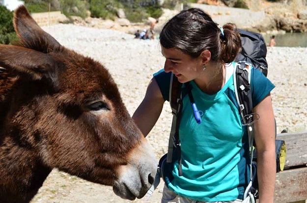 Jarní Mallorca trek GR 221 a přechod pohoří Tramuntana Jarní období se může stát ideální příležitostí pro návštěvu Mallorcy. Ostrov je touto dobou zelený, plný energie.