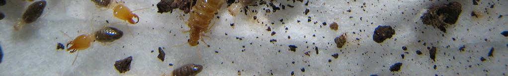 podle http://biodidac.bio.uottawa.