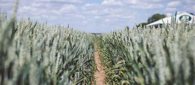 Návštěvníci mohou pravidelně ochutnávat občerstvení vyráběné na Agronomické fakultě a odrůdová vína z produkce Školního zemědělského podniku (ŠZP).